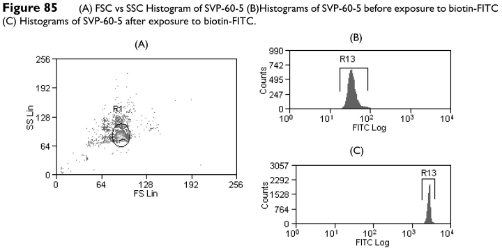 glutathione coated polystyrene particles Functionalized Microspheres A one-step method to coat