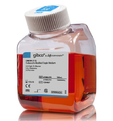 DMEM, high glucose, pyruvate | 4science