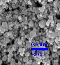 Tin Oxide SnO2 Nanoparticles (SnO2, 800nm, 99.9%) | 4science