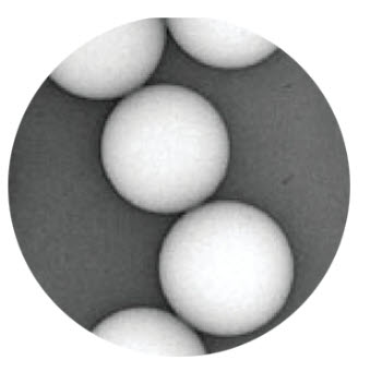 COUNT-CAL™ Count Precision Size Standards | 4science